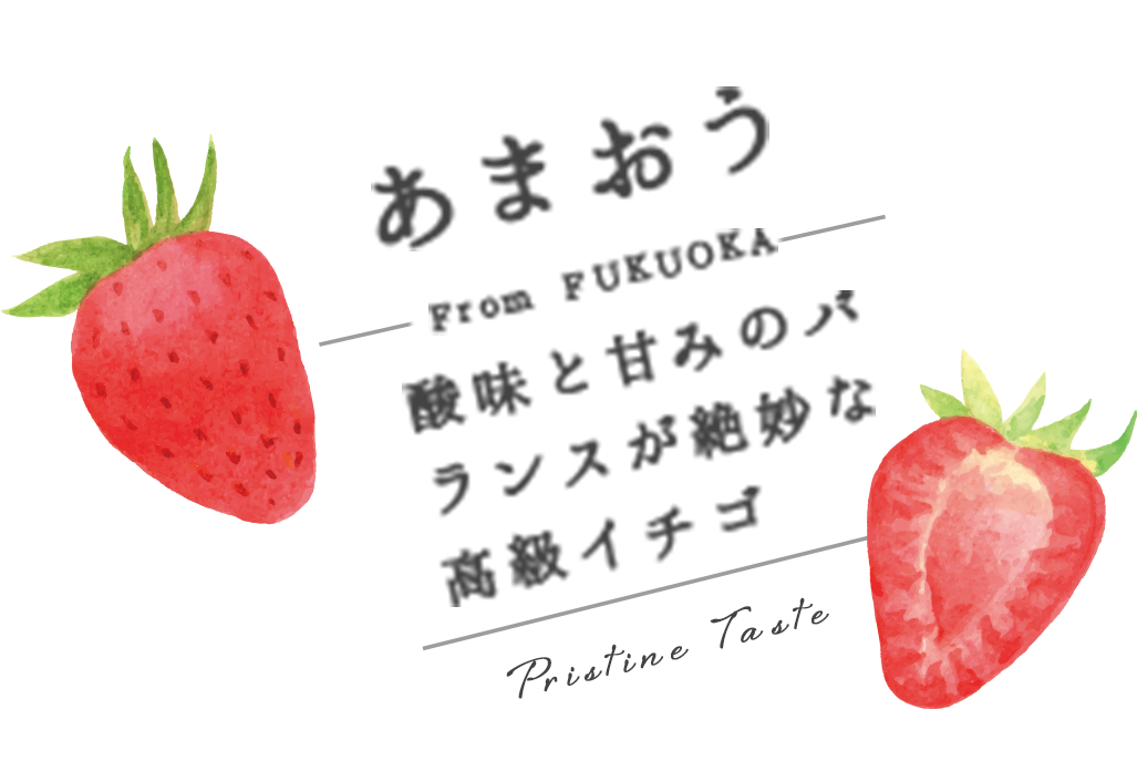 あまおう、酸味と甘みのバランスが絶妙な高級イチゴ